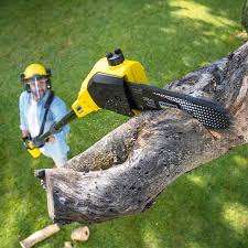 Best Tree Health Inspection  in Hockinson, WA